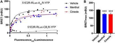 The olfactory Olfr-78/51E2 receptor interacts with the adenosine A2A receptor. Effect of menthol and 1,8-cineole on A2A receptor-mediated signaling